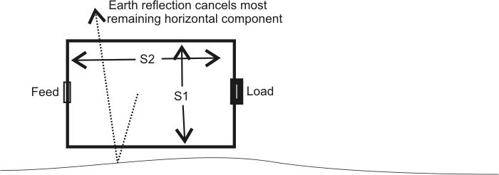 small elongated loops