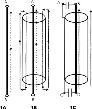 coaxial shielded ground currents