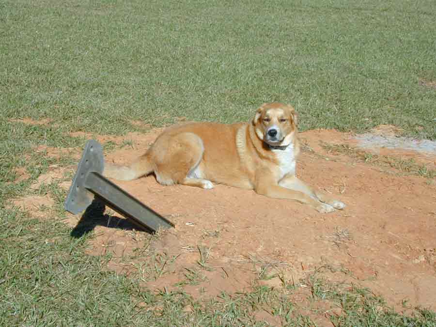 concrete anchor for large tower